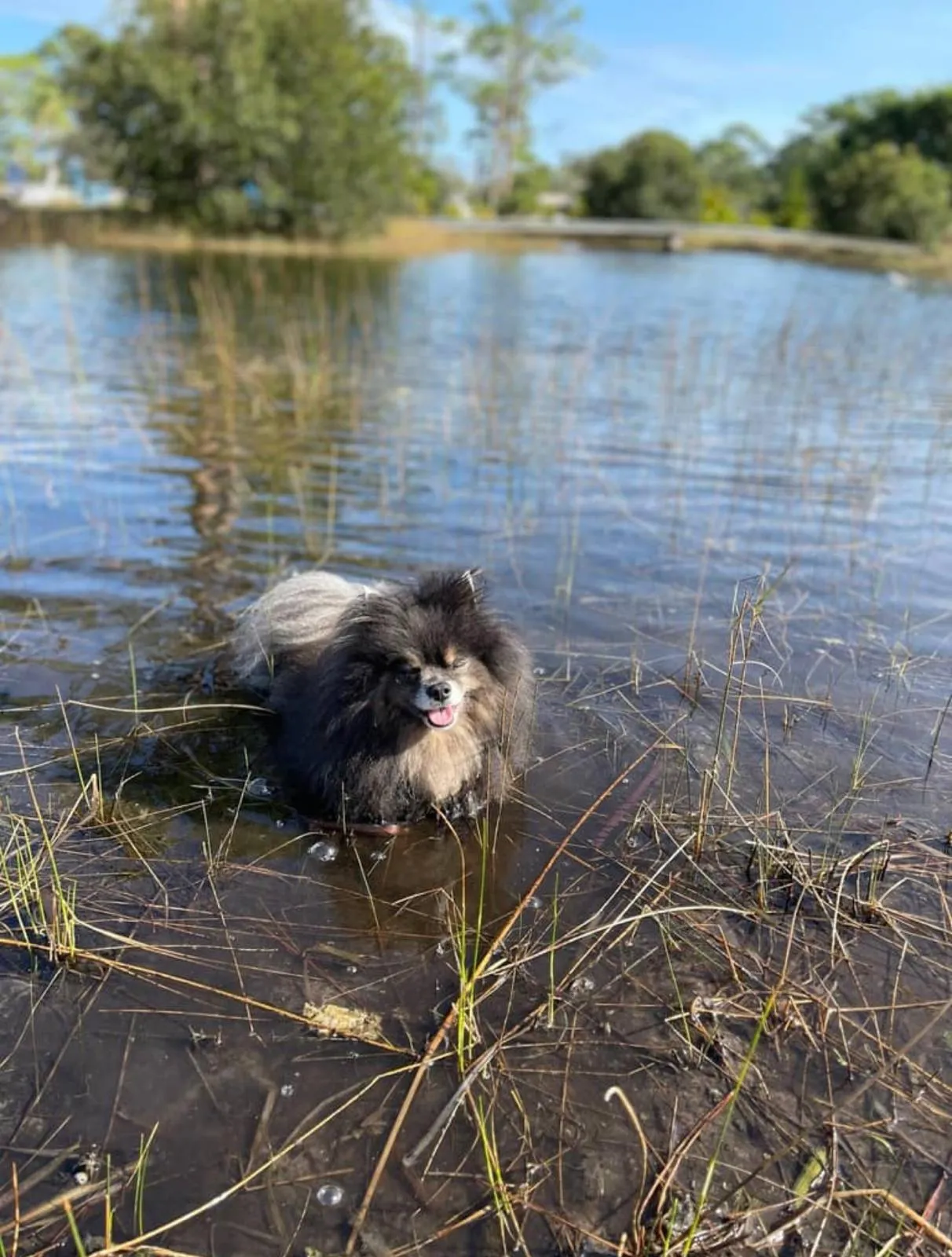 Happy guest at Snuggles