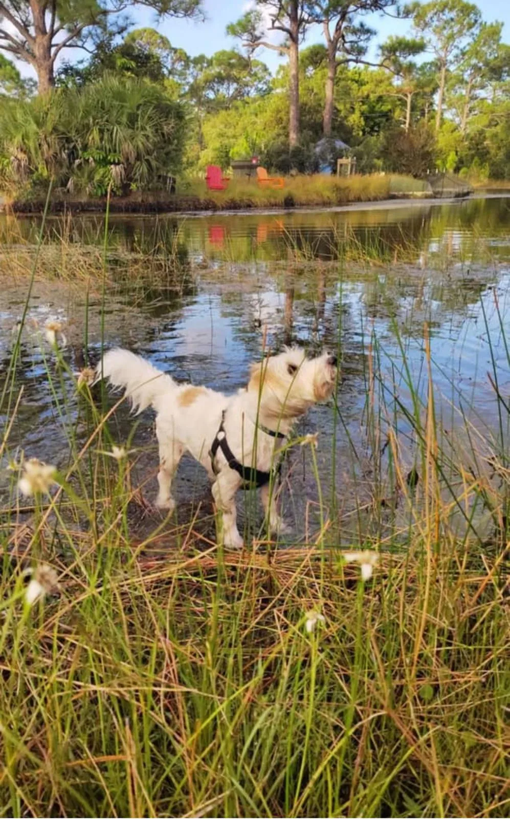 Happy guest at Snuggles