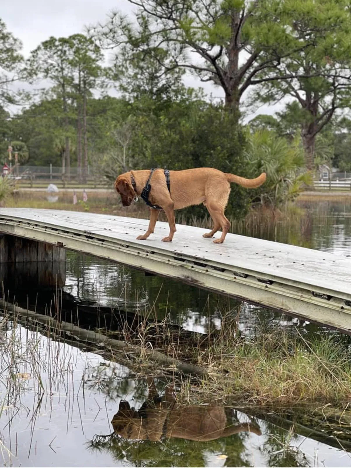 Happy guest at Snuggles