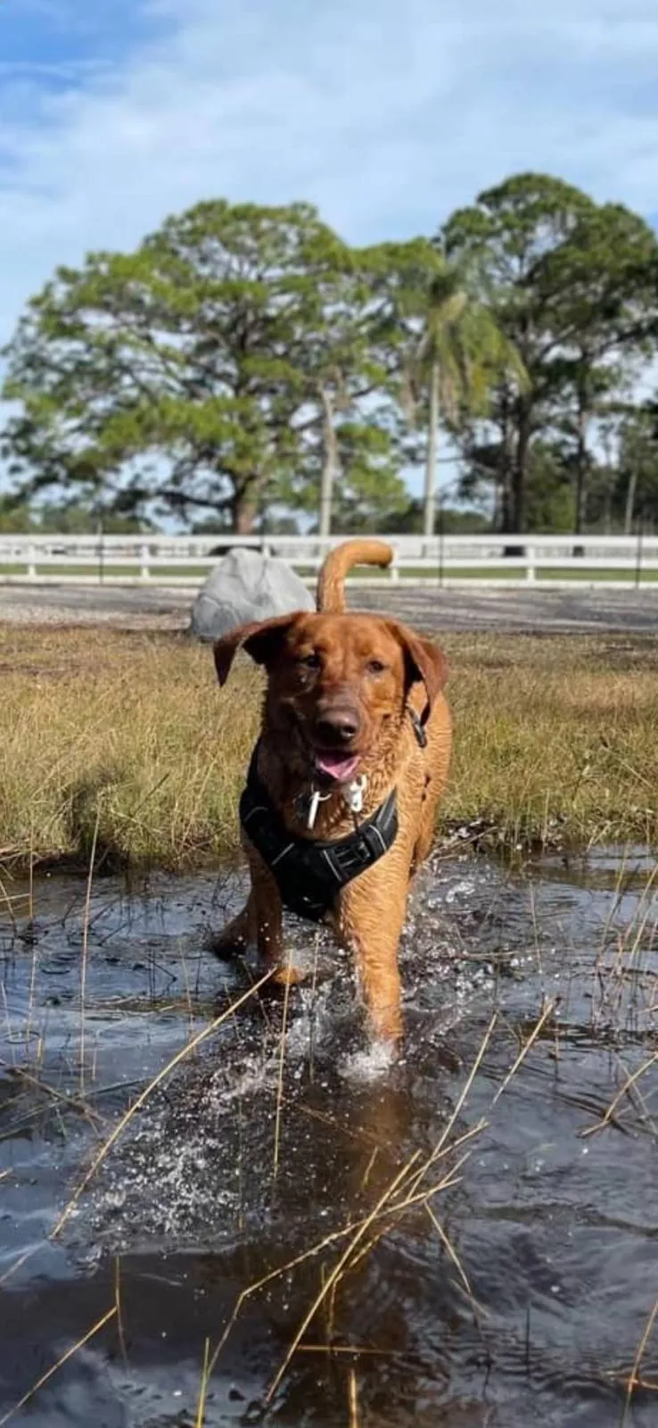 Happy guest at Snuggles