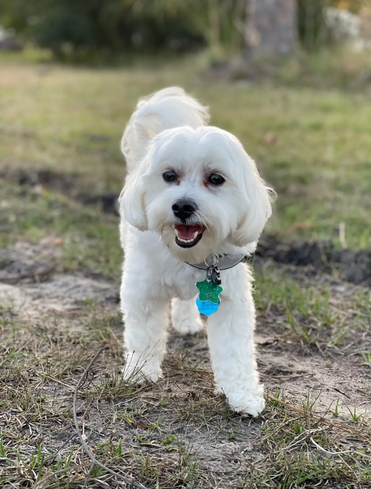 Happy guest at Snuggles