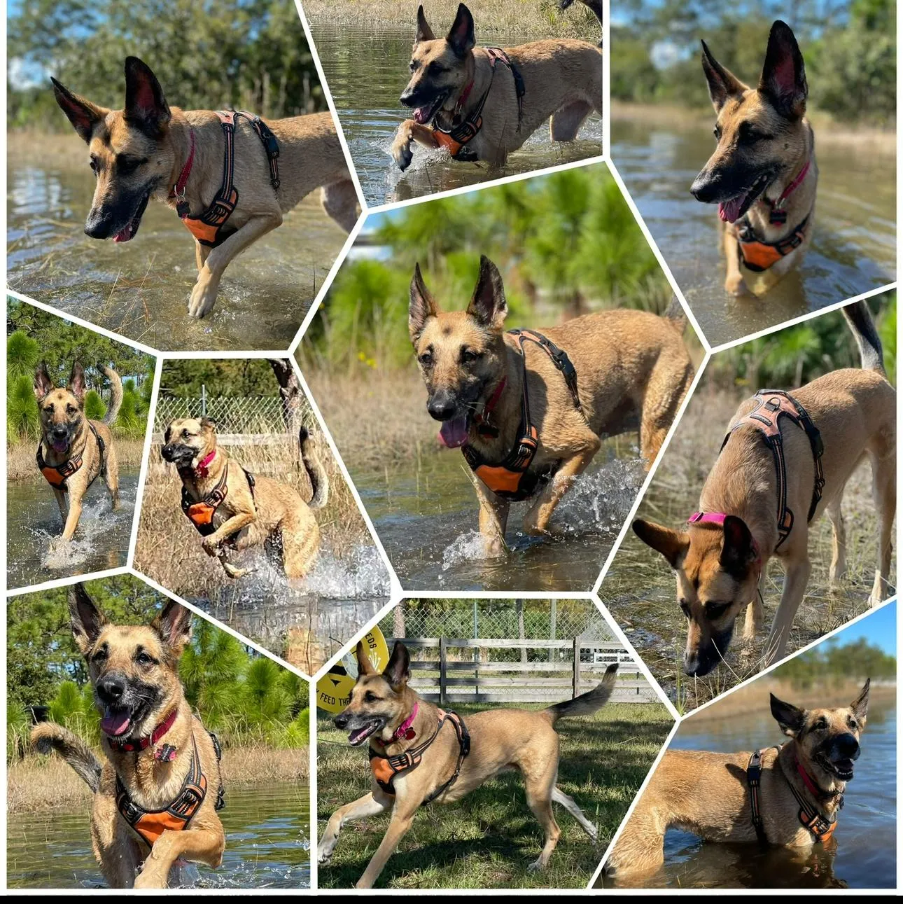 Happy guest at Snuggles