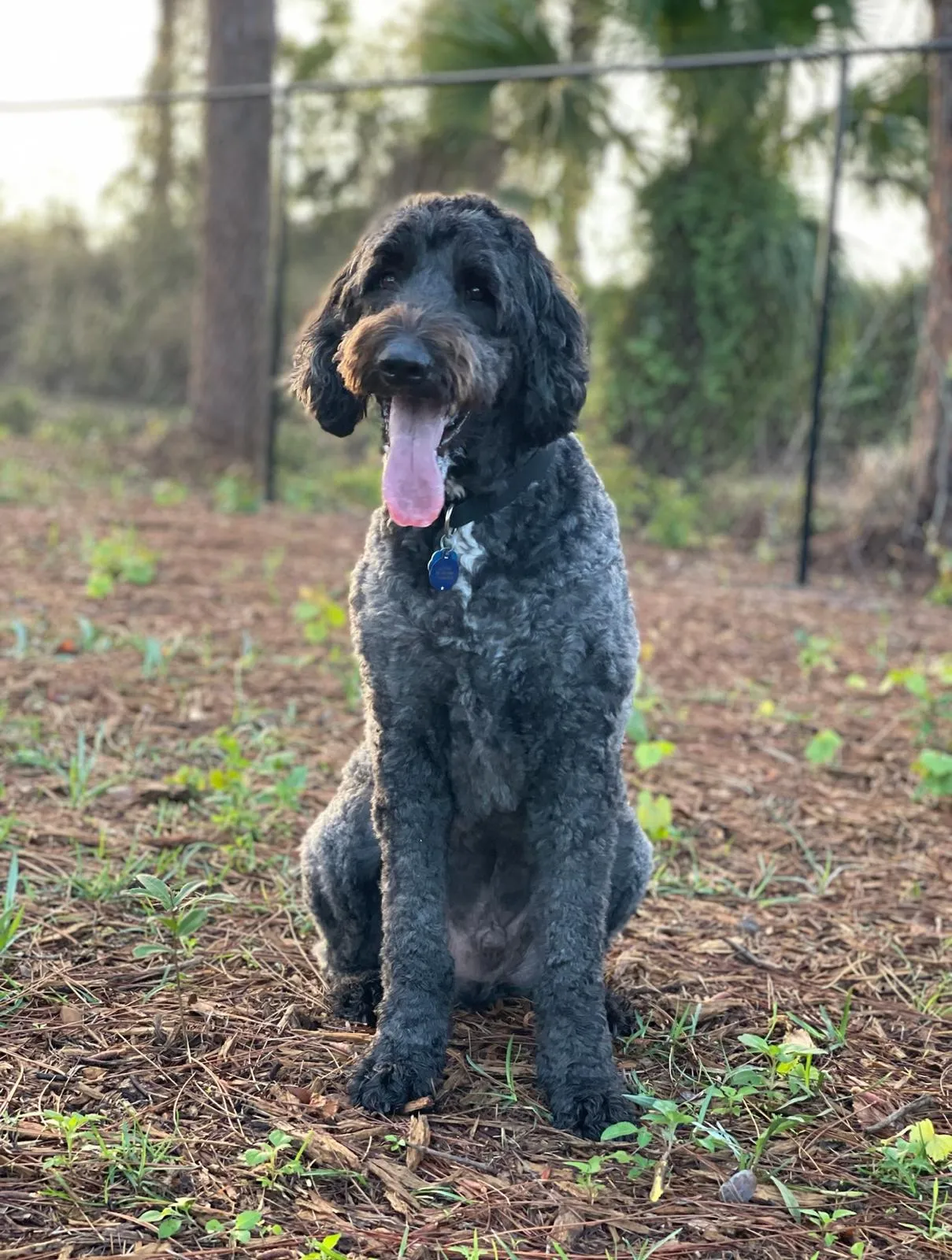 Happy guest at Snuggles