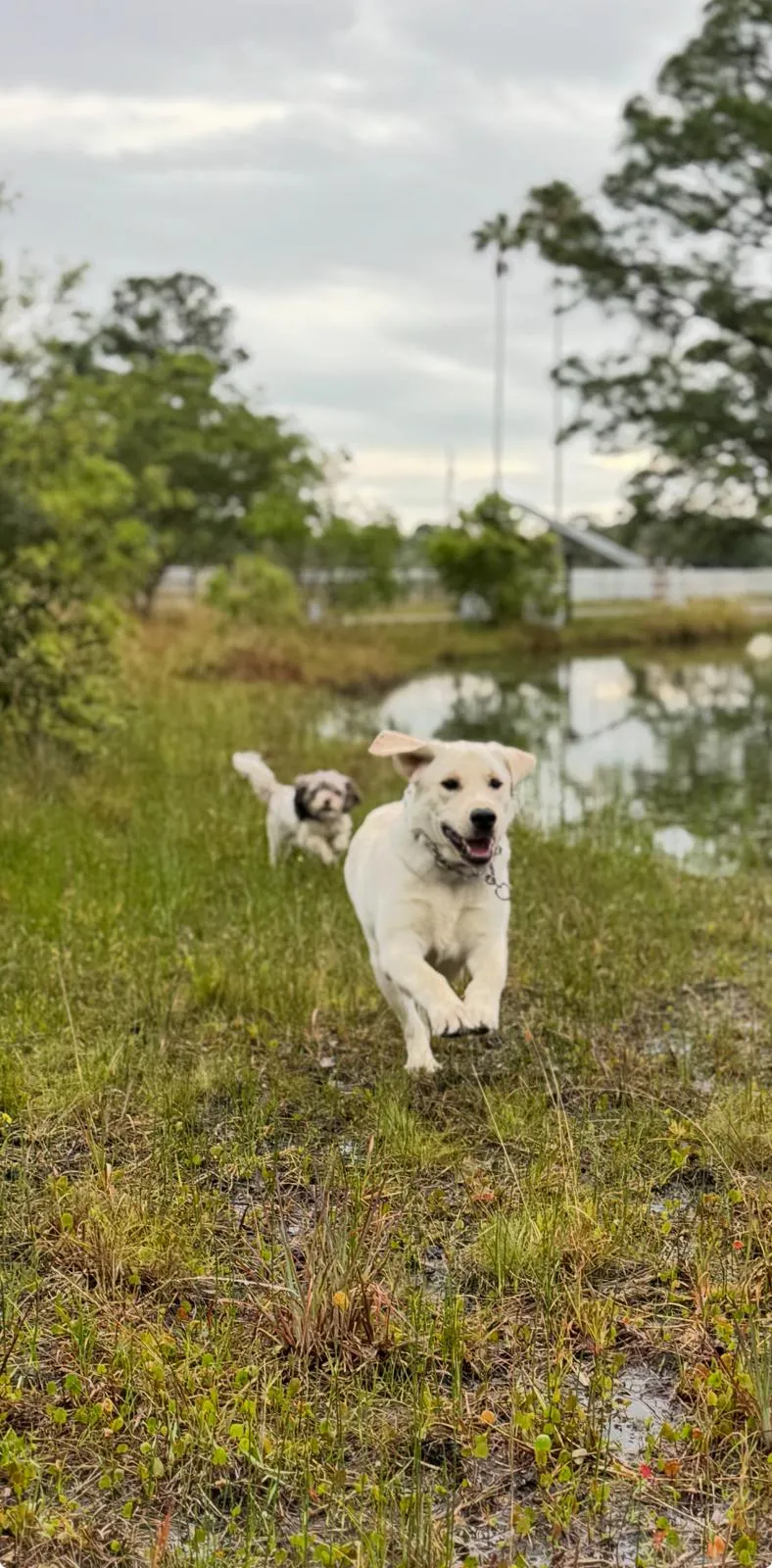Happy guest at Snuggles