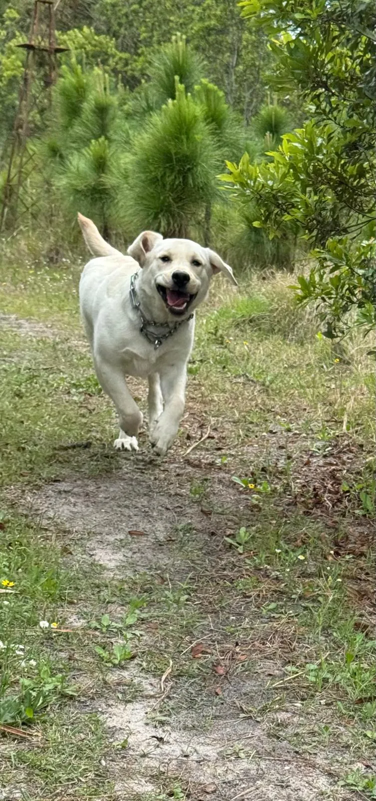 Happy guest at Snuggles