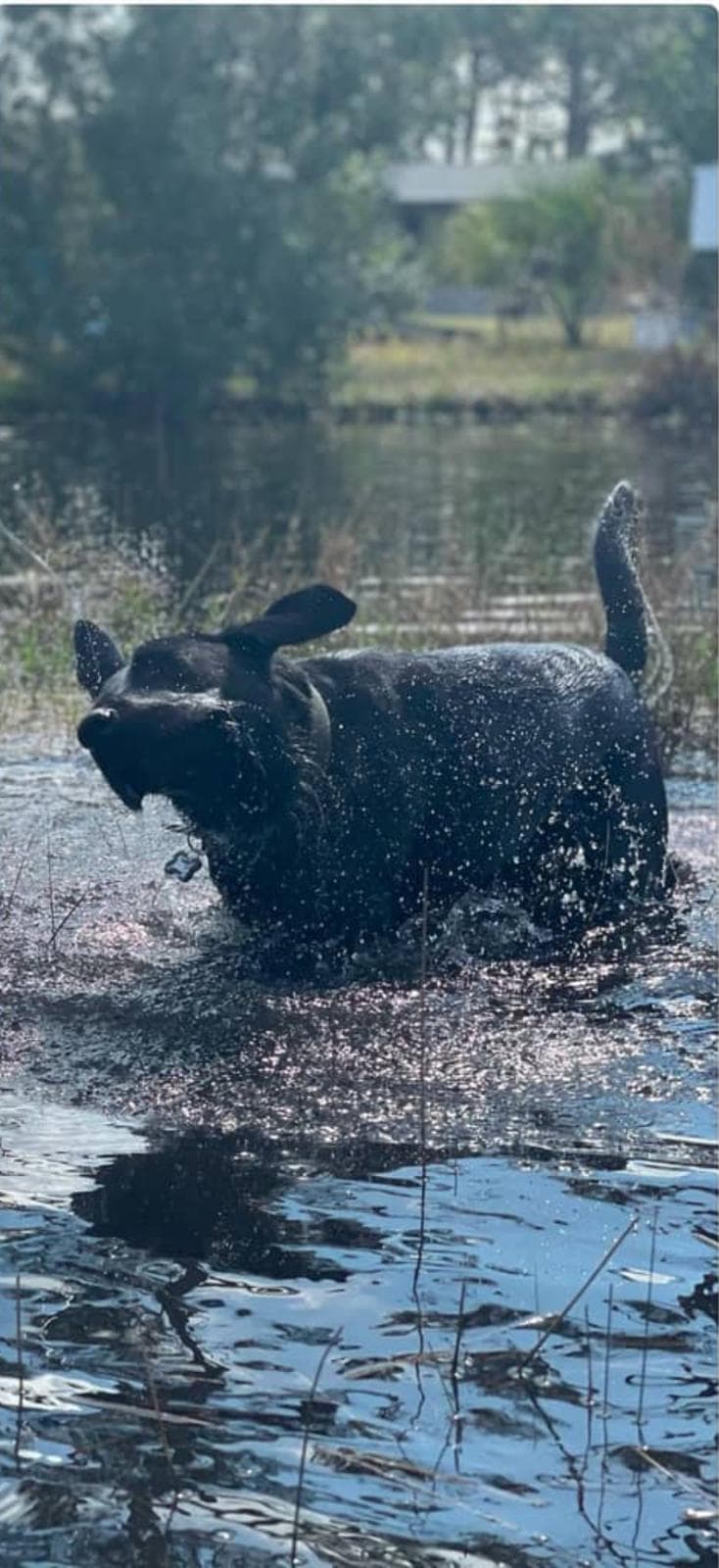 Happy guest at Snuggles