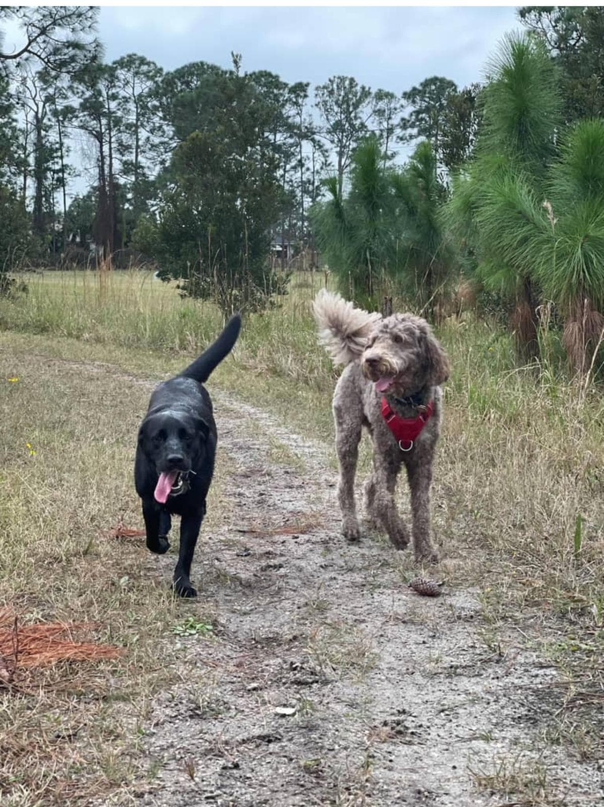 Happy guest at Snuggles