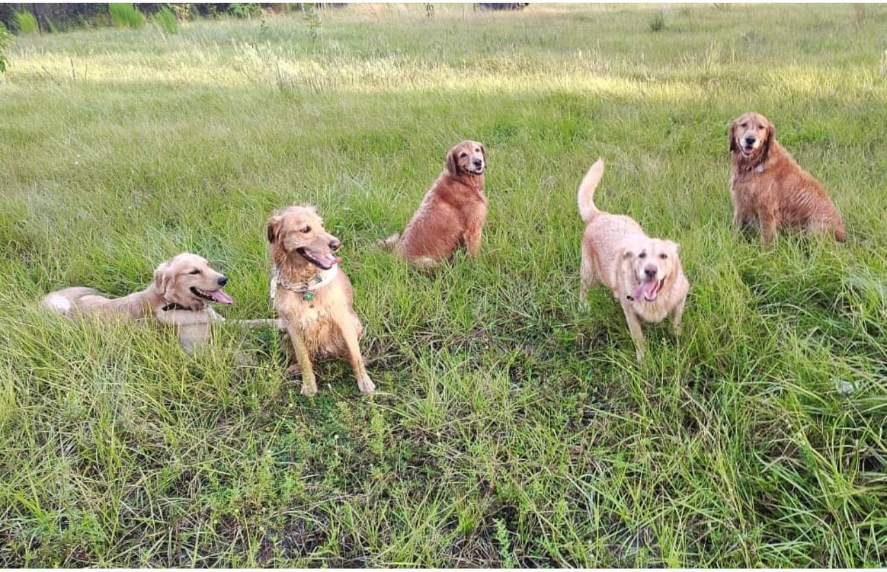 Happy guest at Snuggles