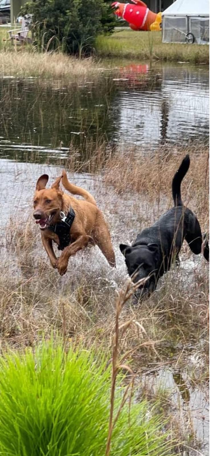 Happy guest at Snuggles