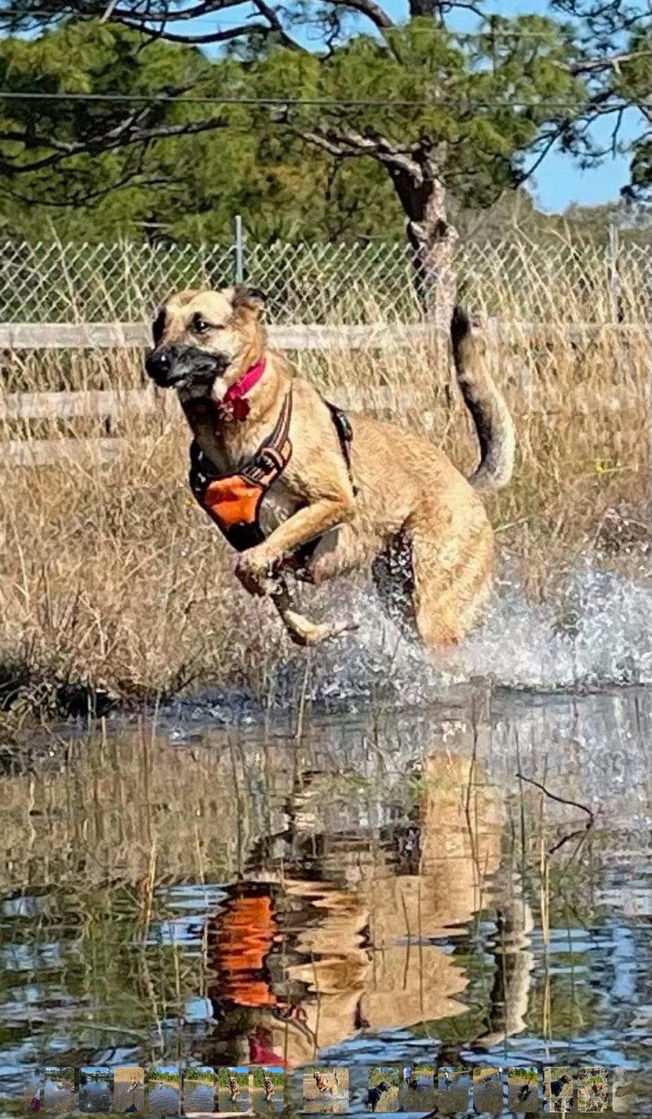 Happy guest at Snuggles