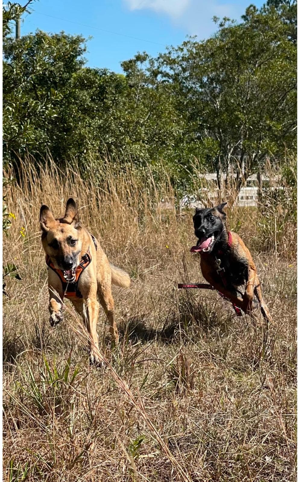 Happy guest at Snuggles