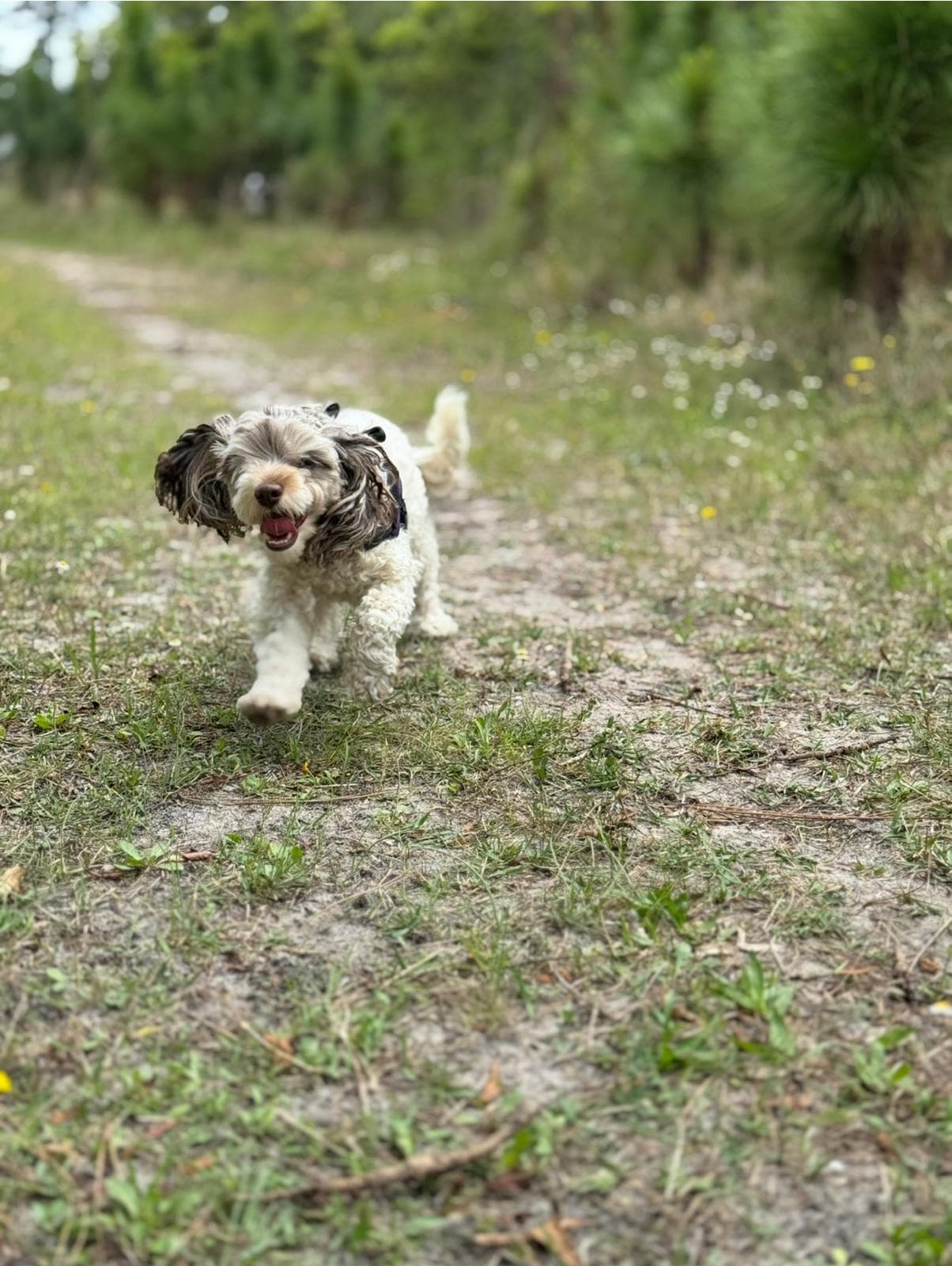 Happy guest at Snuggles